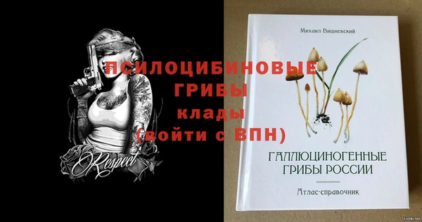 гашик Каменногорск