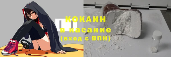 гашик Каменногорск